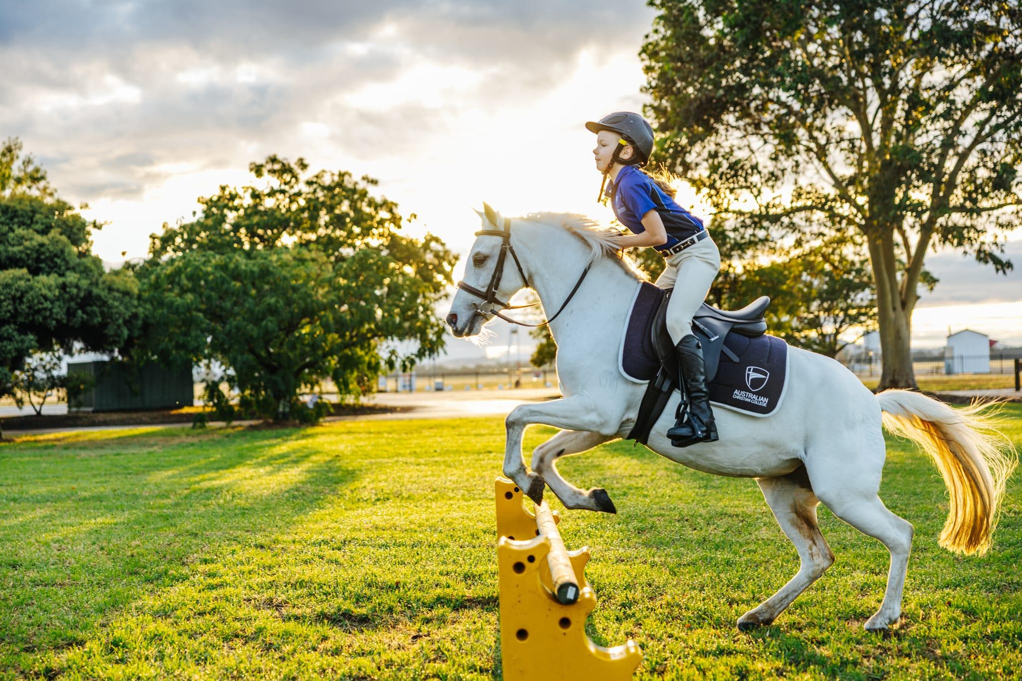 Young student on a white horse jumping over an obstacle, demonstrating the equestrian program at Australian Christian College.