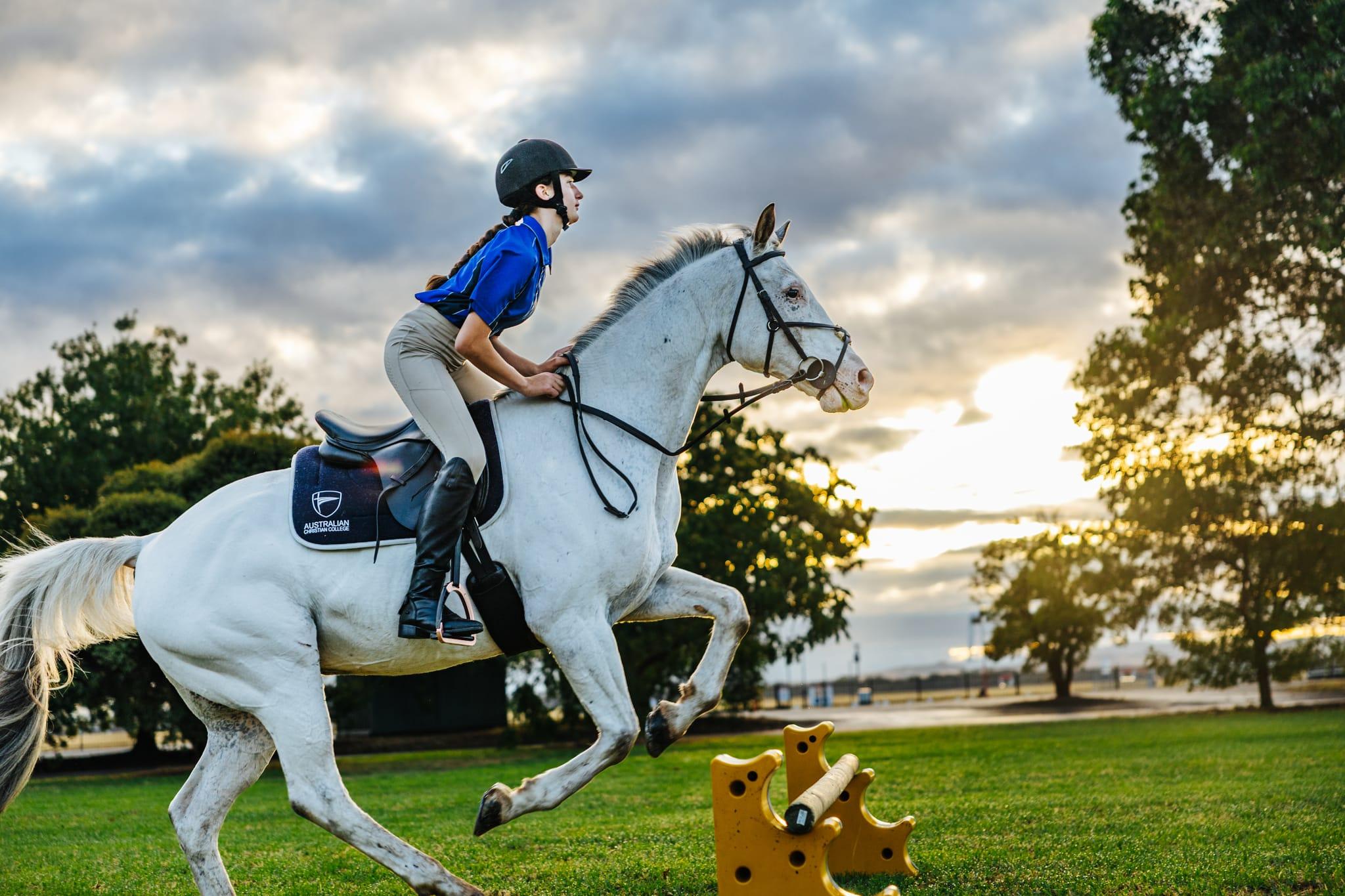 Student on a white horse mid-jump, representing the comprehensive co-curricular and equestrian programs at Australian Christian College Benalla.