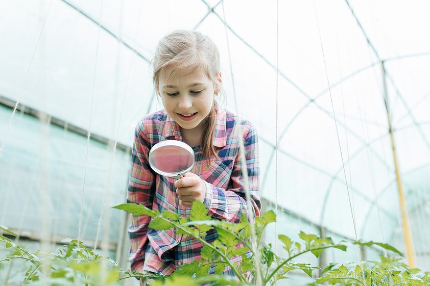 Smiling kid exploring greenhouse with magnifying glass