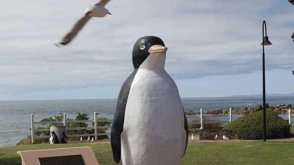 The Big Penguin, located on the foreshore of Penguin Tasmania
