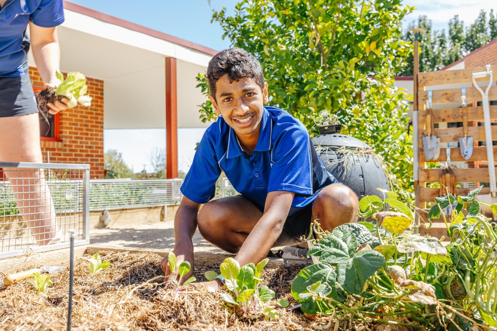 A secondary student tends to vegetables in the school garden, reflecting hands-on learning, life skills, and forward-focused education.