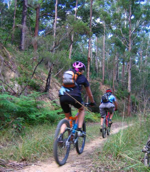 A couple mountain biking along the Rail Trail in Wamuran