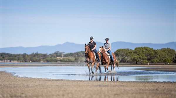 Horse riders riding around Beachmere beach