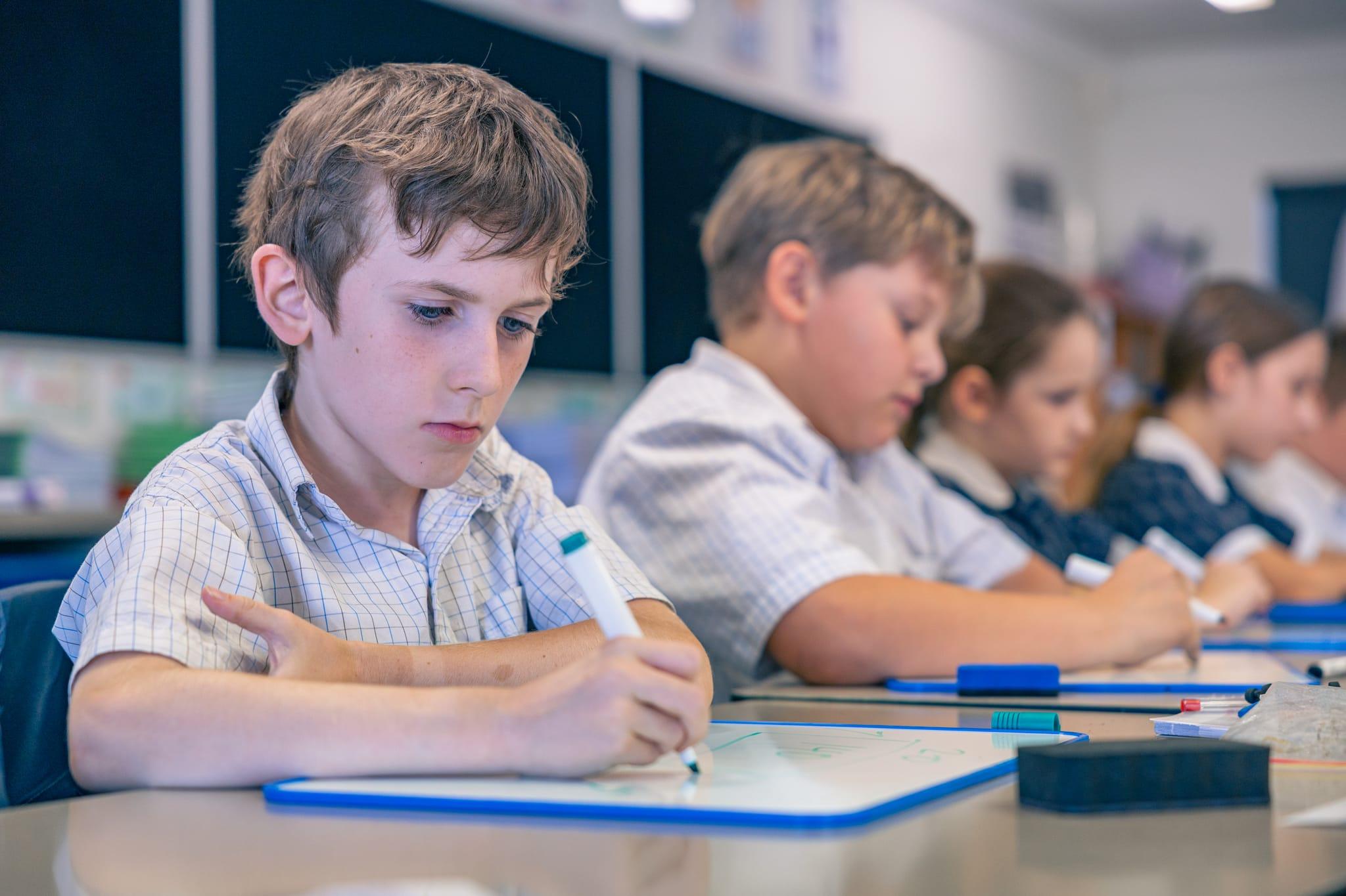 Junior school students concentrating on a structured classroom activity using whiteboards, supported by a teacher-led, explicit instruction approach.
