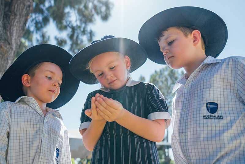 Singleton primary school students looking curiously at and holding something in their hands