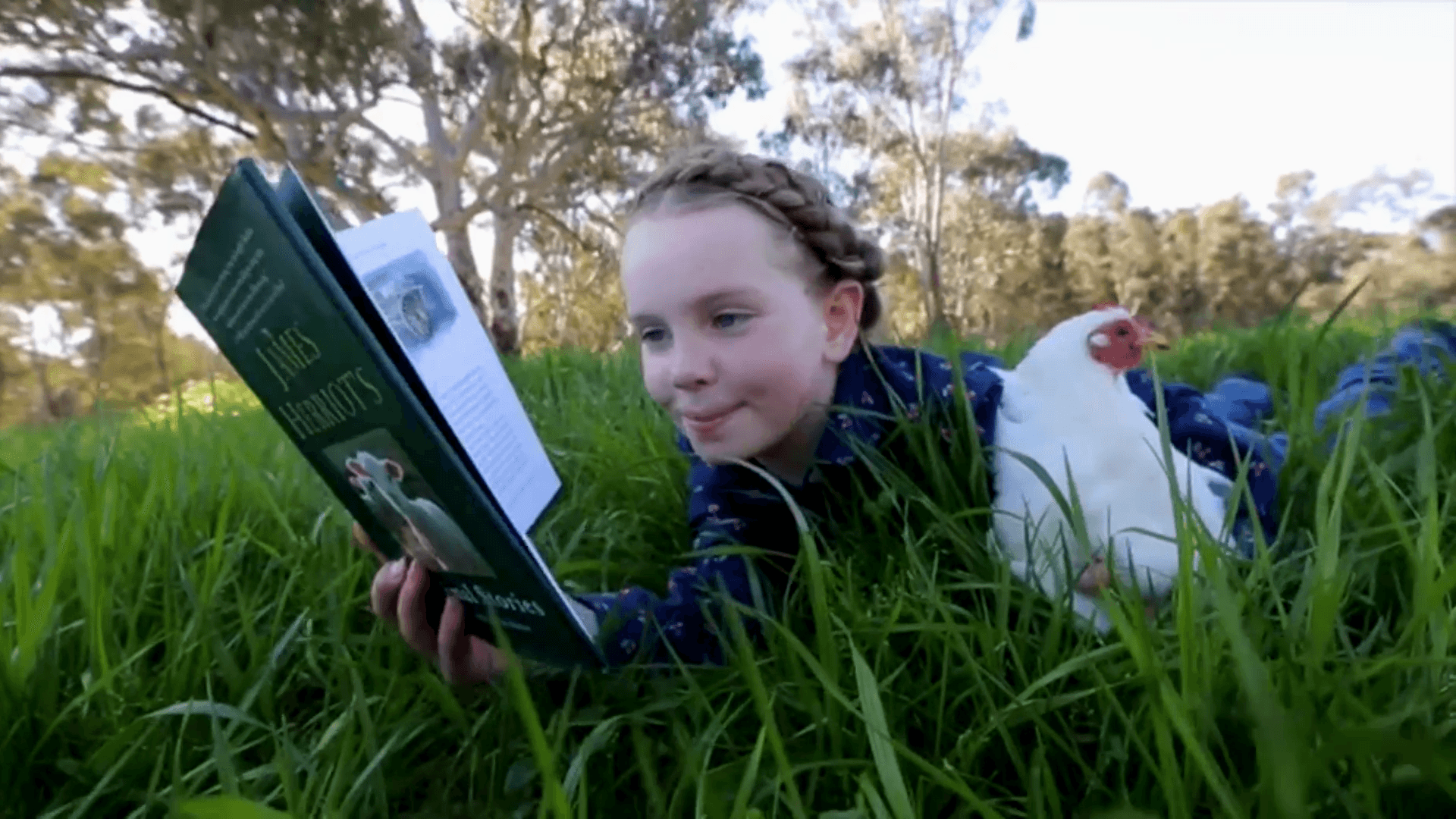 Distance education primary school student reading a book outside with her pet chicken