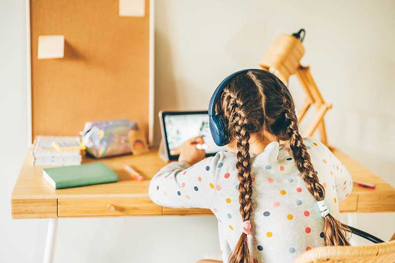 A Wide Spectrum of Learners in Online School